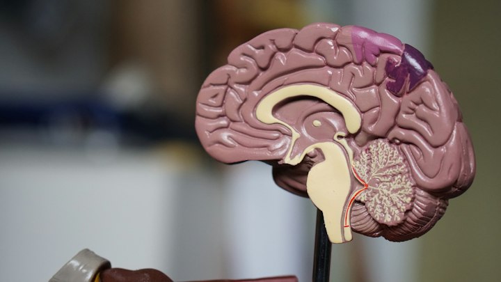 Most Advanced Brain-Computer Interface Technologies
