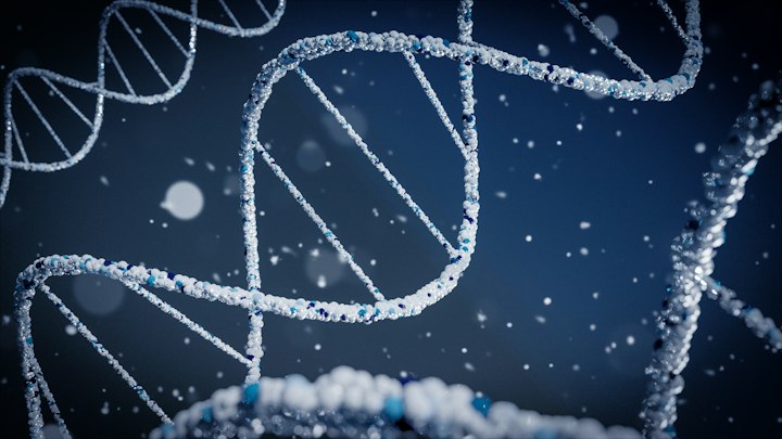 Most Advanced DNA Storage Systems